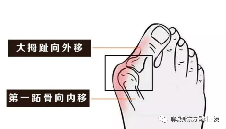 2fc1a017a319543e7298138d39061691.png 2fc1a017a319543e7298138d39061691.png